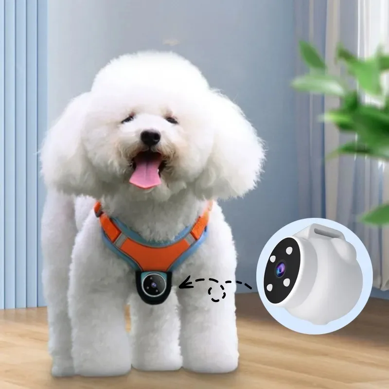 Pet Collar with Motion Camera