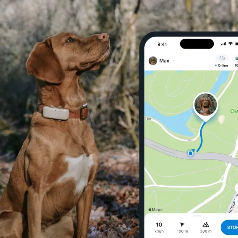 GPS Tracker for Dogs