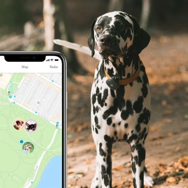 GPS Pet Tracker and Pet Activity Monitor