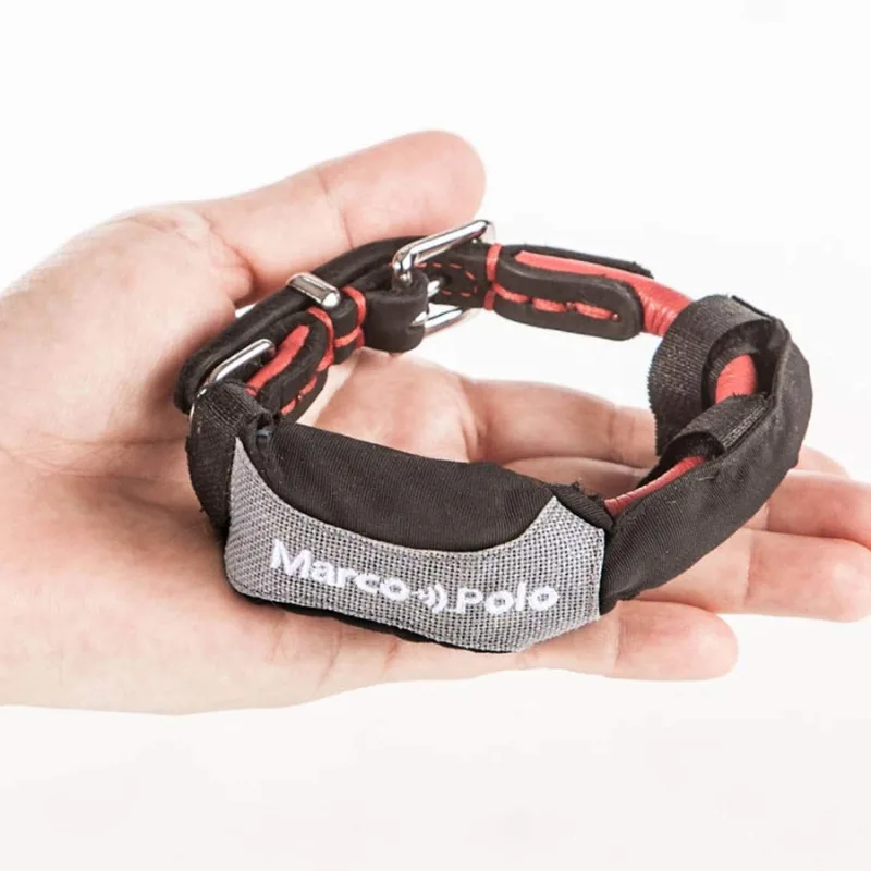 MARCOPOLO Advanced Pet Monitoring